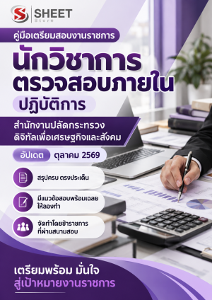 นักวิชาการตรวจสอบภายในปฏิบัติการ DE